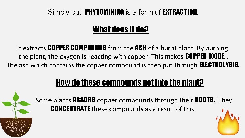 Simply put, PHYTOMINING is a form of EXTRACTION. What does it do? It extracts