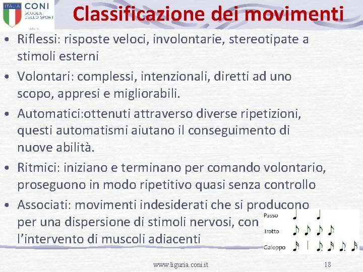 Classificazione dei movimenti • Riflessi: risposte veloci, involontarie, stereotipate a • • stimoli esterni
