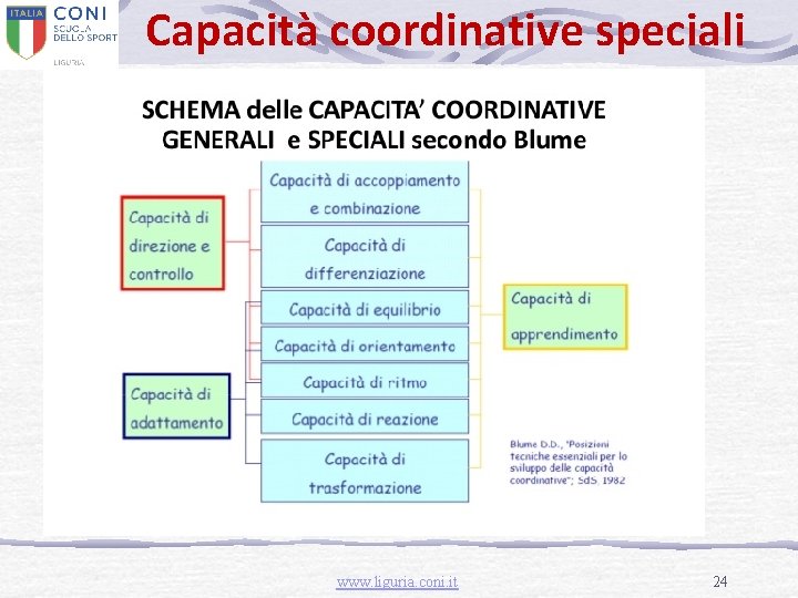 Capacità coordinative speciali www. liguria. coni. it 24 