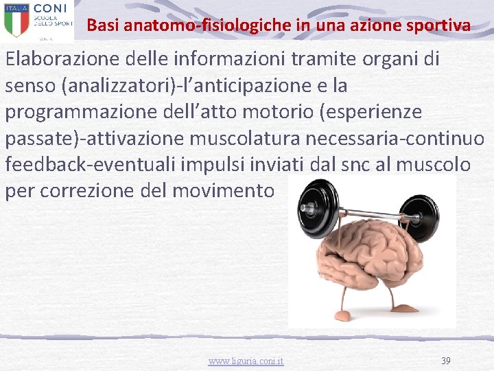 Basi anatomo-fisiologiche in una azione sportiva Elaborazione delle informazioni tramite organi di senso (analizzatori)-l’anticipazione