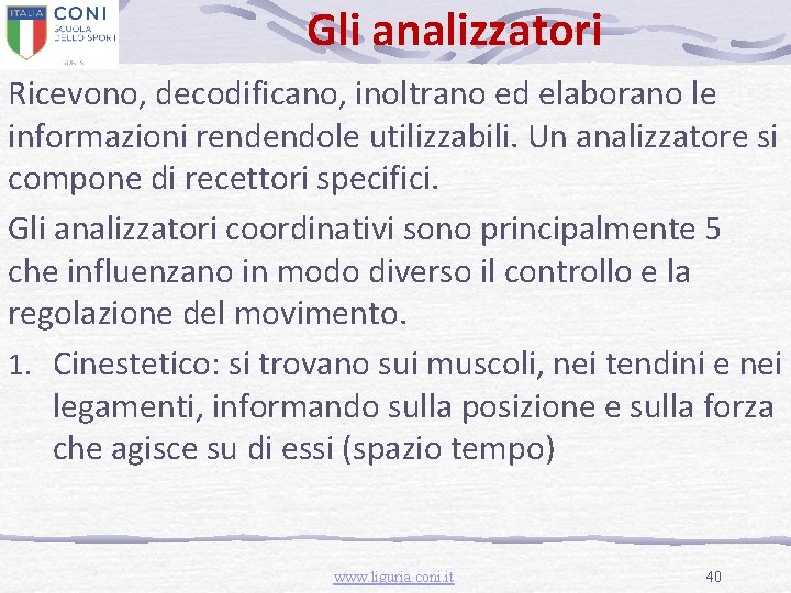 Gli analizzatori Ricevono, decodificano, inoltrano ed elaborano le informazioni rendendole utilizzabili. Un analizzatore si
