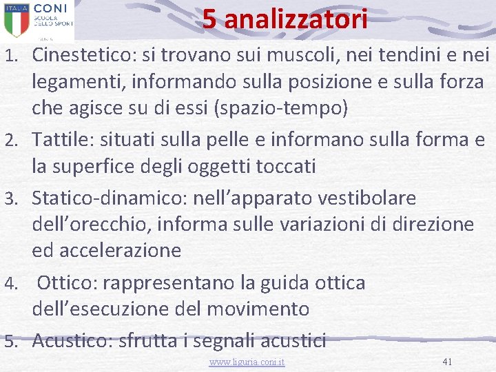 5 analizzatori 1. Cinestetico: si trovano sui muscoli, nei tendini e nei 2. 3.