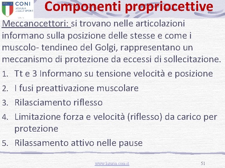 Componenti propriocettive Meccanocettori: si trovano nelle articolazioni informano sulla posizione delle stesse e come