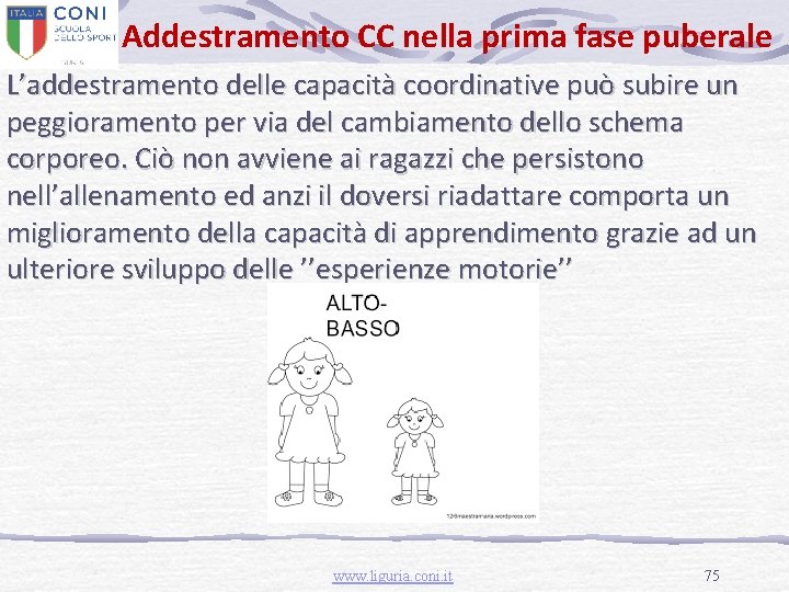 Addestramento CC nella prima fase puberale L’addestramento delle capacità coordinative può subire un peggioramento