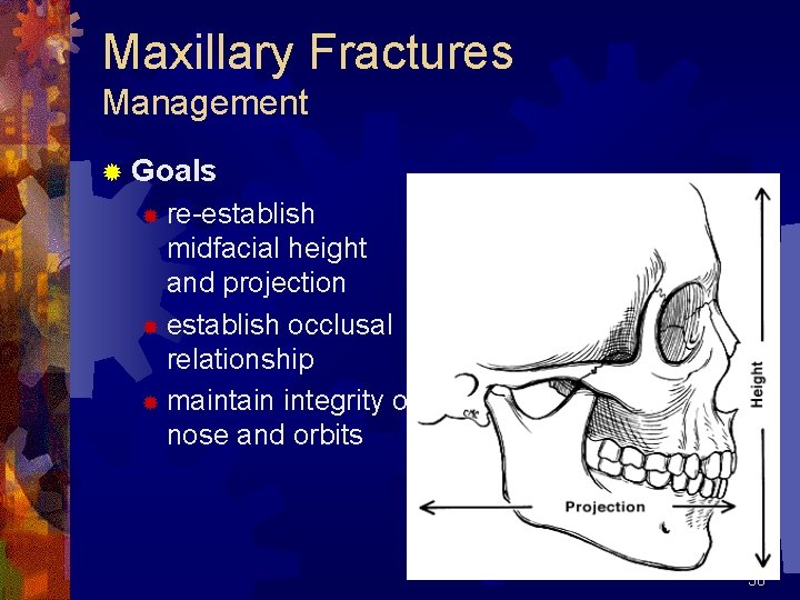 Maxillary Fractures Management ® Goals re-establish midfacial height and projection ® establish occlusal relationship