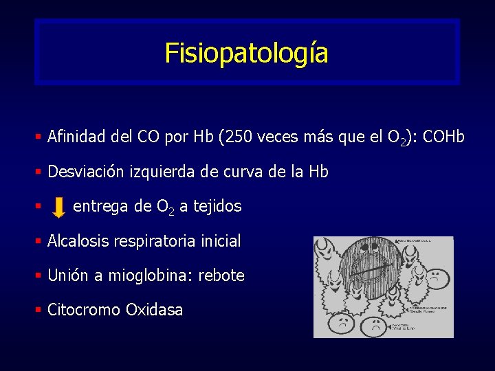 Fisiopatología § Afinidad del CO por Hb (250 veces más que el O 2):