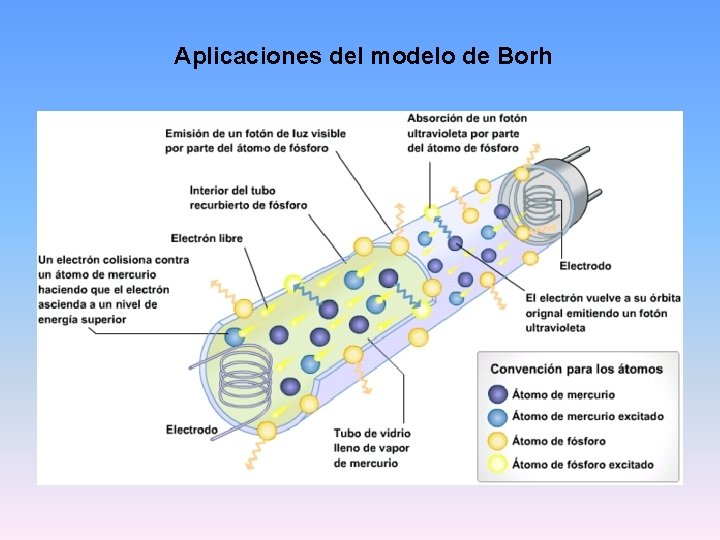 Aplicaciones del modelo de Borh 