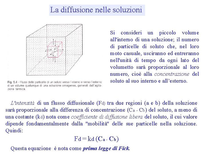 La diffusione nelle soluzioni Si consideri un piccolo volume all'interno di una soluzione; il