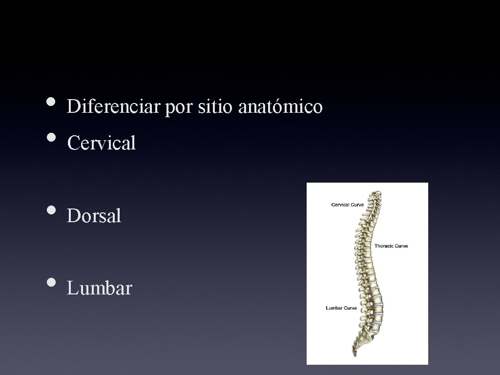  • Diferenciar por sitio anatómico • Cervical • Dorsal • Lumbar 