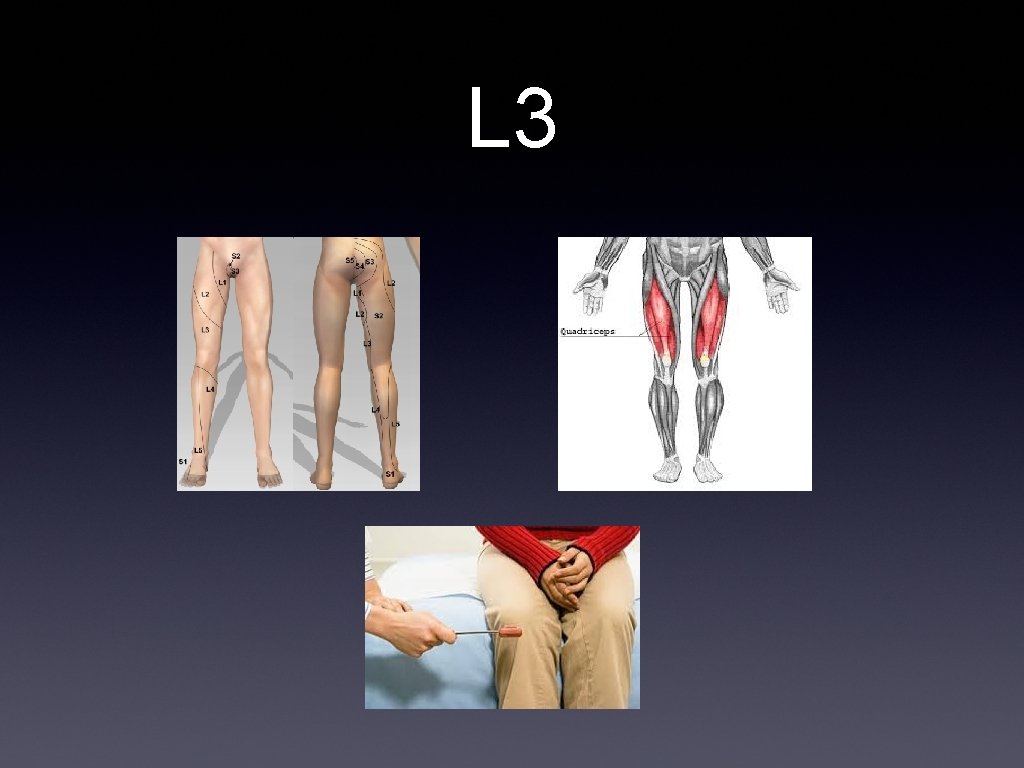 L 3 