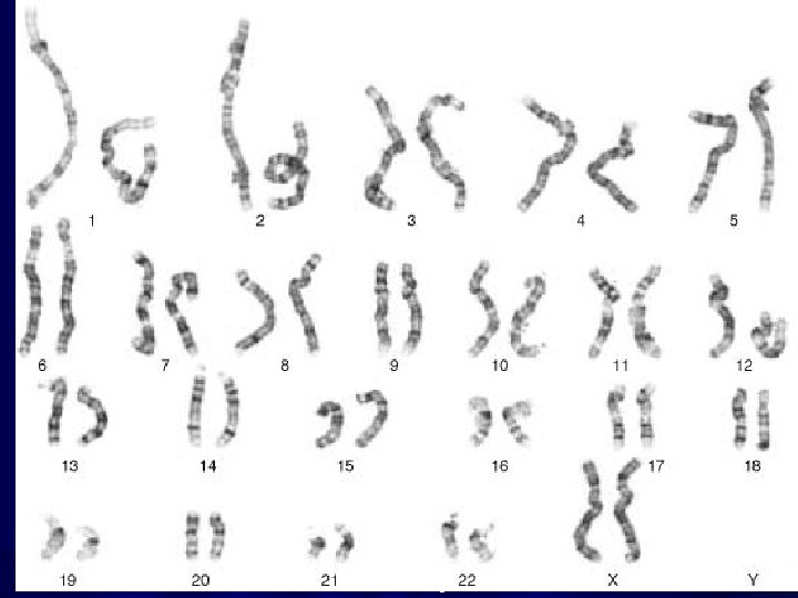 Mazen Zaharna Molecular Biology 1/2009 