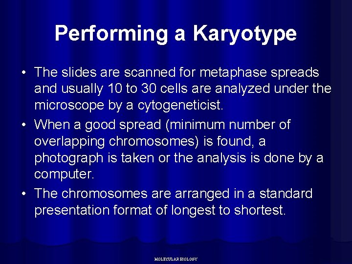 Performing a Karyotype • The slides are scanned for metaphase spreads and usually 10