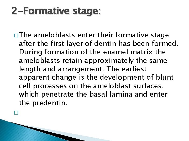 2 -Formative stage: � The ameloblasts enter their formative stage after the first layer