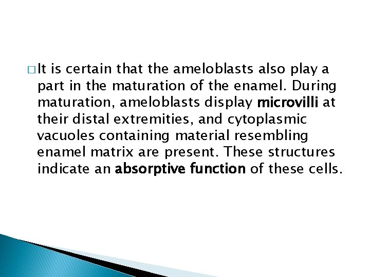 � It is certain that the ameloblasts also play a part in the maturation
