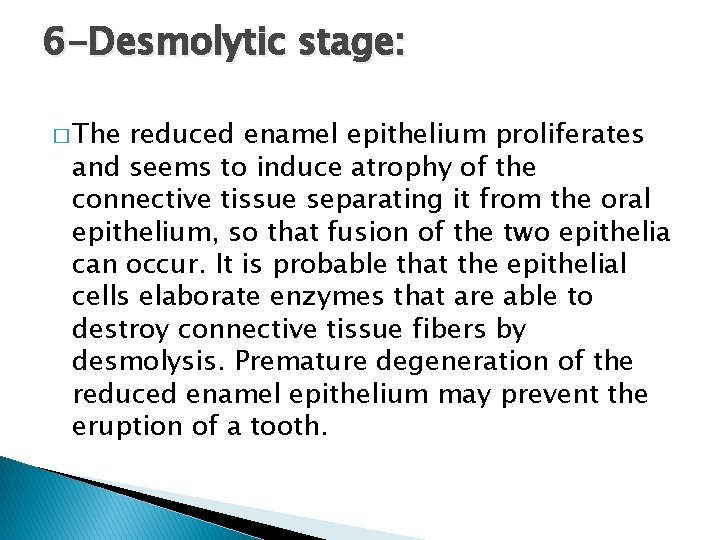 6 -Desmolytic stage: � The reduced enamel epithelium proliferates and seems to induce atrophy