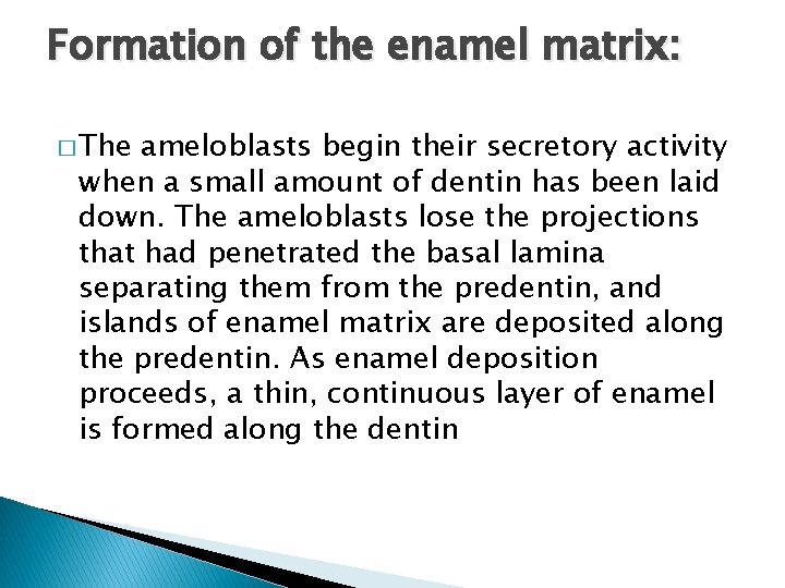 Formation of the enamel matrix: � The ameloblasts begin their secretory activity when a