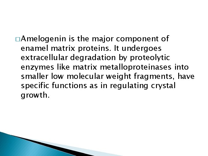 � Amelogenin is the major component of enamel matrix proteins. It undergoes extracellular degradation