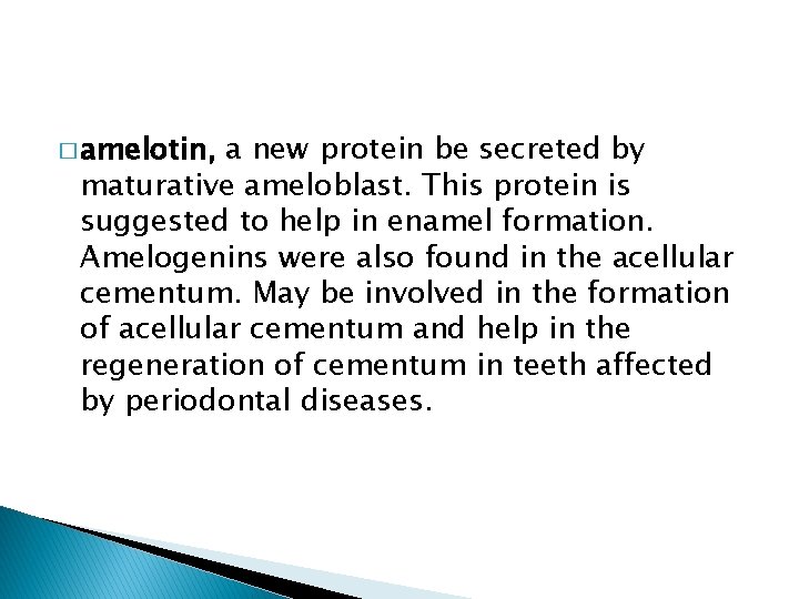 � amelotin, a new protein be secreted by maturative ameloblast. This protein is suggested