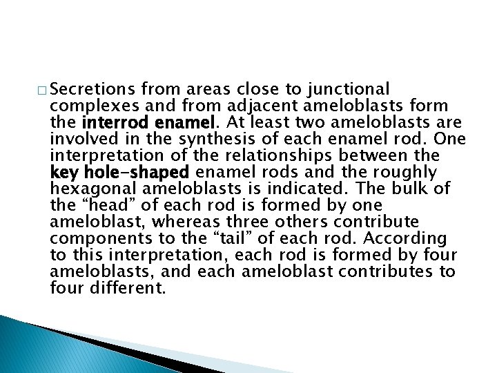 � Secretions from areas close to junctional complexes and from adjacent ameloblasts form the