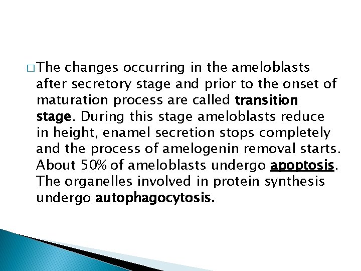 � The changes occurring in the ameloblasts after secretory stage and prior to the