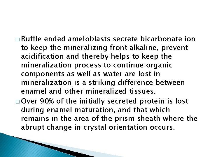 � Ruffle ended ameloblasts secrete bicarbonate ion to keep the mineralizing front alkaline, prevent