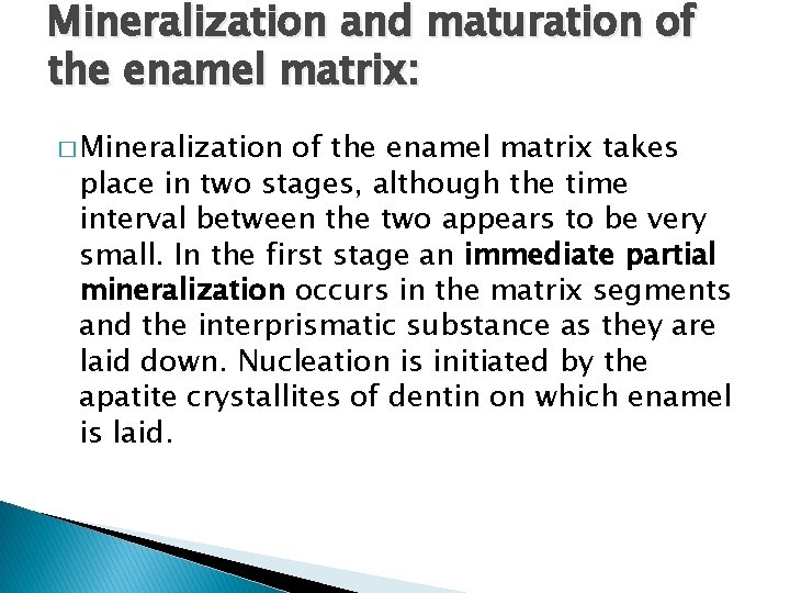 Mineralization and maturation of the enamel matrix: � Mineralization of the enamel matrix takes