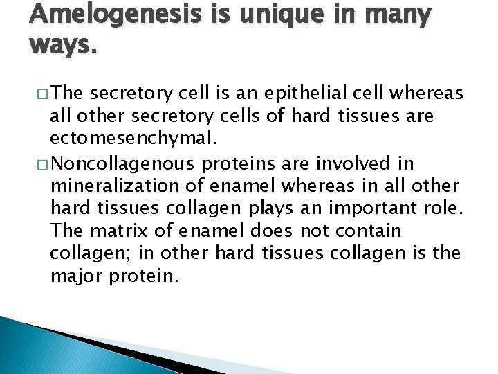 Amelogenesis is unique in many ways. � The secretory cell is an epithelial cell
