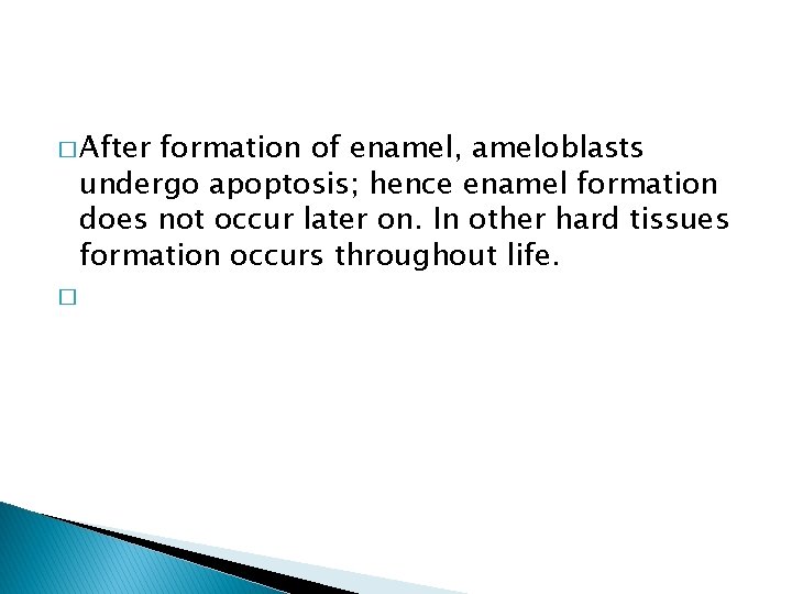 � After formation of enamel, ameloblasts undergo apoptosis; hence enamel formation does not occur
