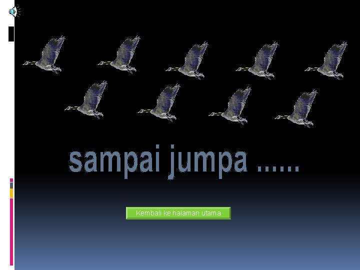 Kembali ke halaman utama Kembali ke halaman utama