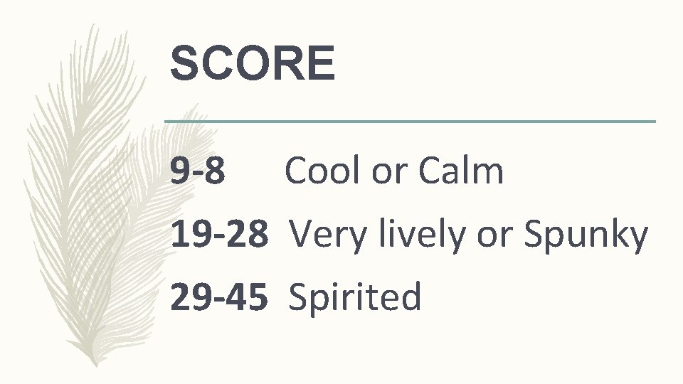 SCORE 9 -8 Cool or Calm 19 -28 Very lively or Spunky 29 -45