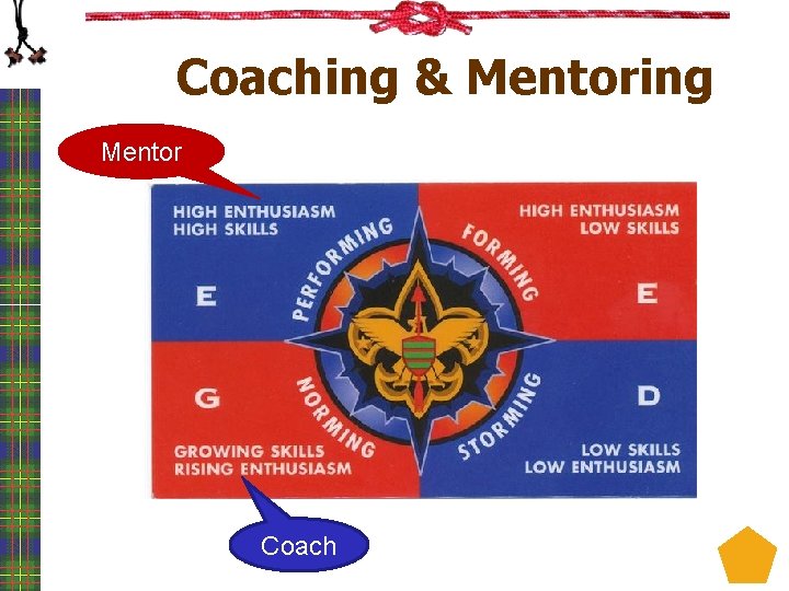 Coaching & Mentoring Mentor Coach 
