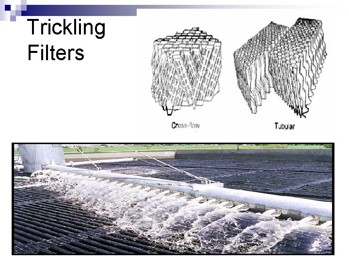 Trickling Filters 