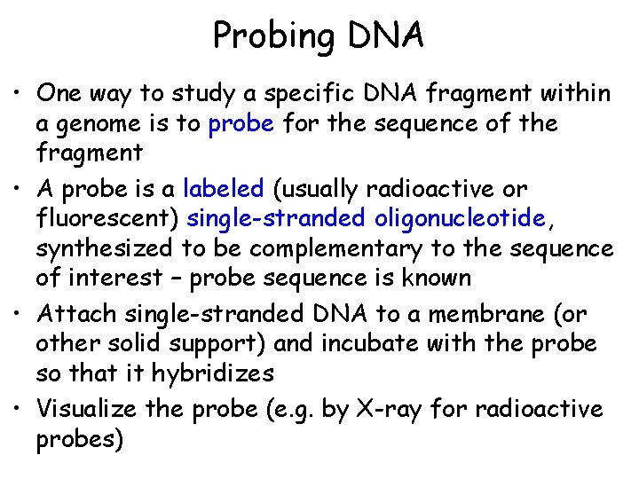 Probing DNA • One way to study a specific DNA fragment within a genome