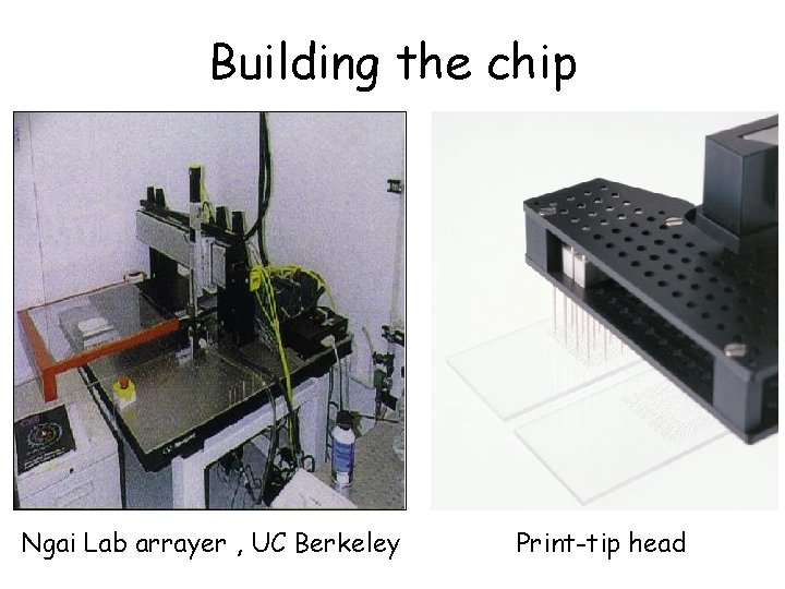 Building the chip Ngai Lab arrayer , UC Berkeley Print-tip head 