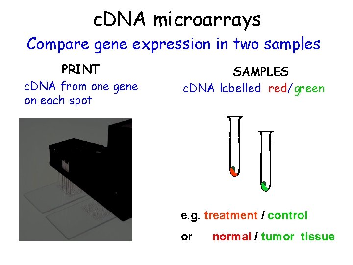 c. DNA microarrays Compare gene expression in two samples PRINT c. DNA from one