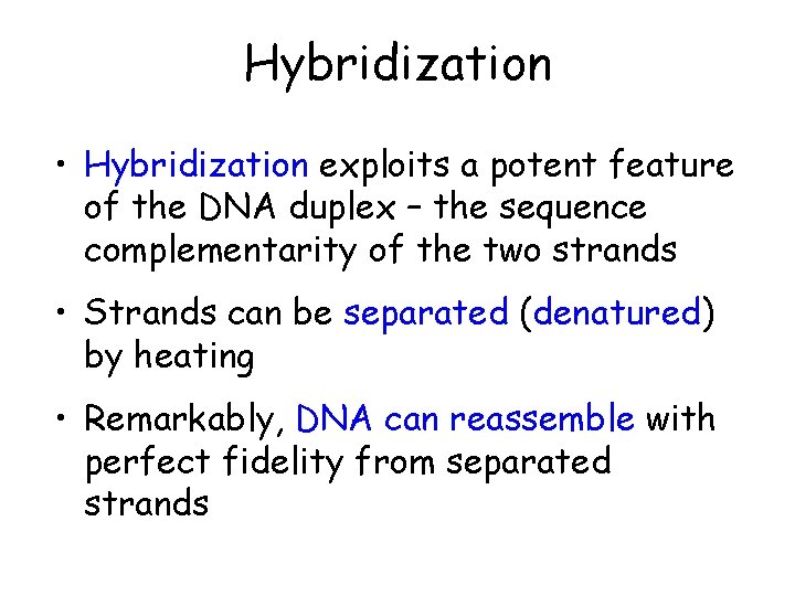 Hybridization • Hybridization exploits a potent feature of the DNA duplex – the sequence