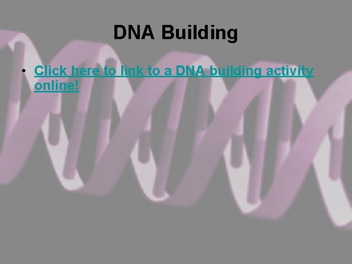 DNA Building • Click here to link to a DNA building activity online! 