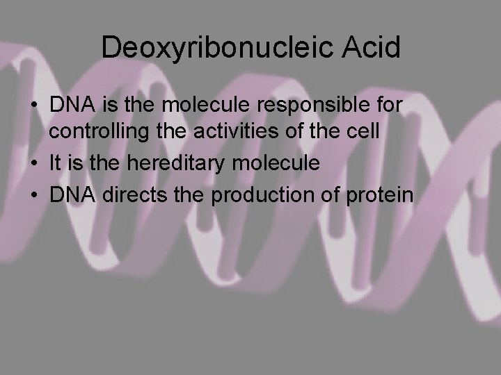 Deoxyribonucleic Acid • DNA is the molecule responsible for controlling the activities of the