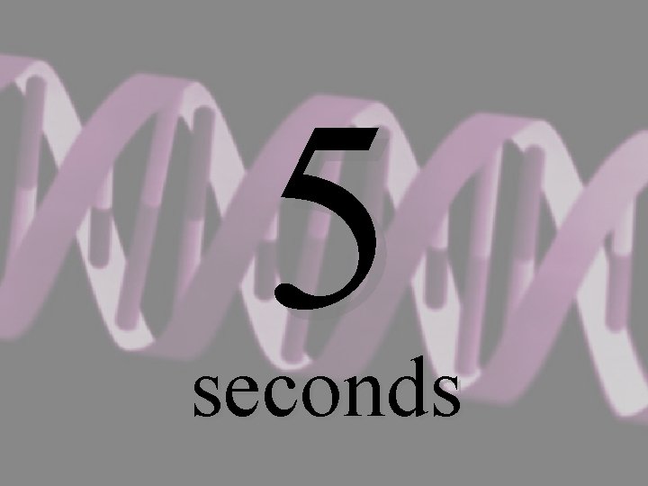 5 seconds 