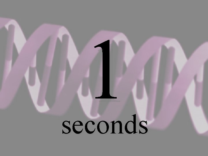 1 seconds 