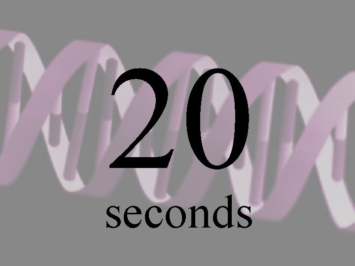 20 seconds 