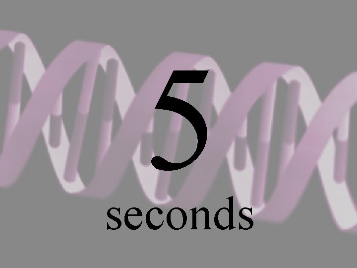 5 seconds 