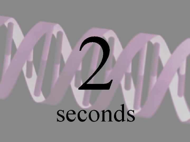 2 seconds 