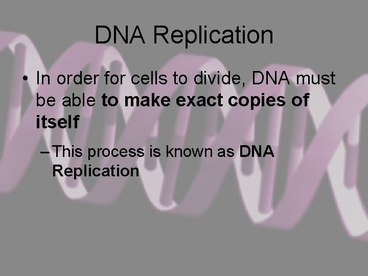 DNA Replication • In order for cells to divide, DNA must be able to