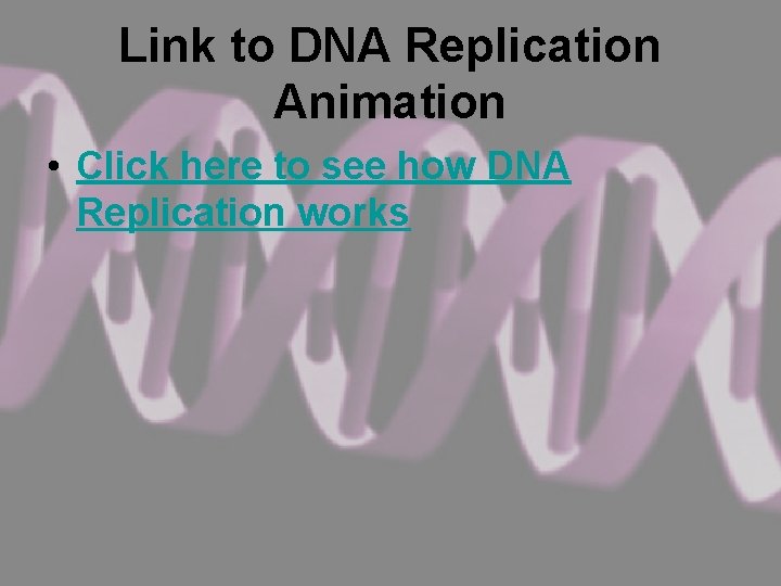 Link to DNA Replication Animation • Click here to see how DNA Replication works