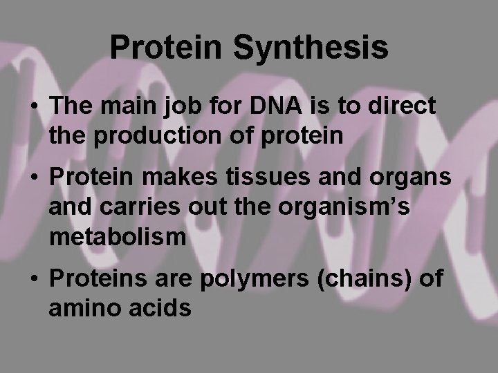 Protein Synthesis • The main job for DNA is to direct the production of