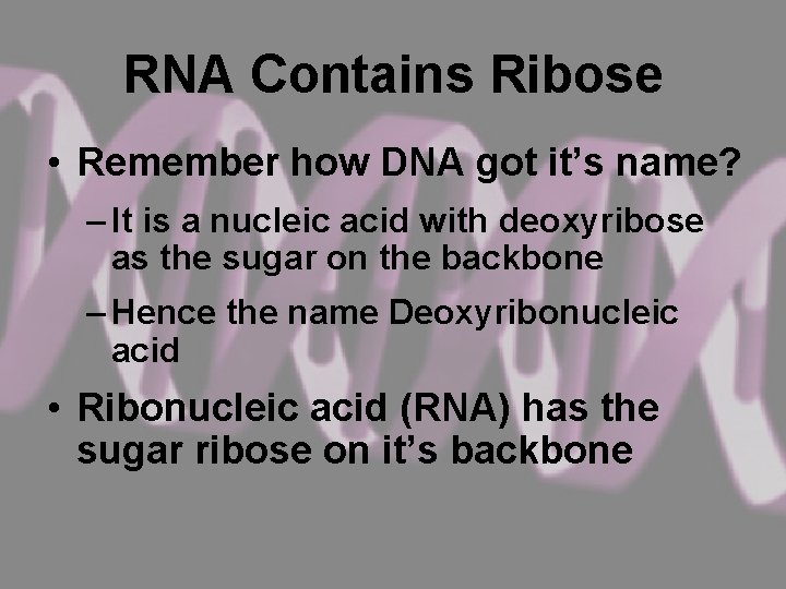 RNA Contains Ribose • Remember how DNA got it’s name? – It is a