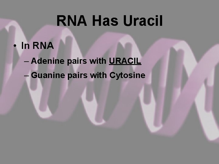RNA Has Uracil • In RNA – Adenine pairs with URACIL – Guanine pairs