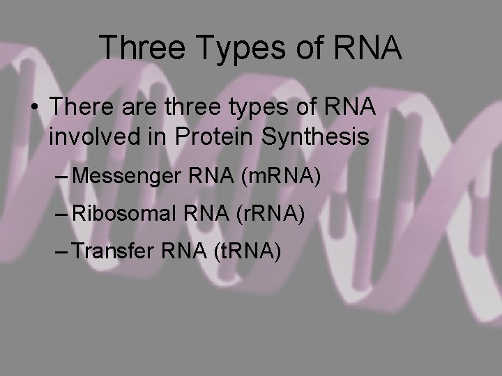 Three Types of RNA • There are three types of RNA involved in Protein