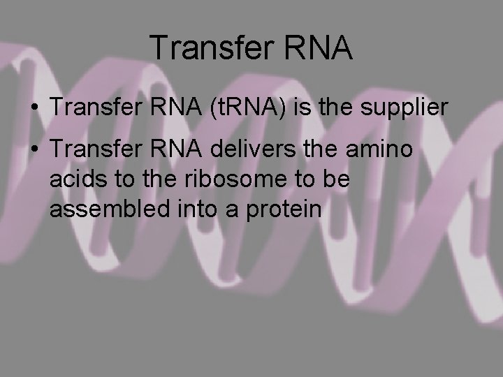 Transfer RNA • Transfer RNA (t. RNA) is the supplier • Transfer RNA delivers